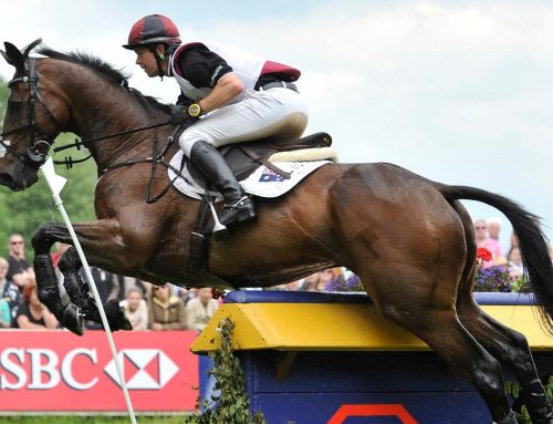 EQUESTRIAN SA