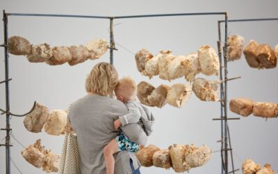 Murray Arts Museum Albury Governance Review and Implementation Plan