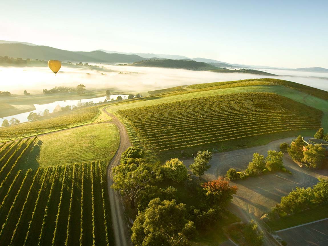 Hot-air-balloon-over-the-Yarra-Valley-Yarra-Valley-and-Dandenong-Ranges-Victoria