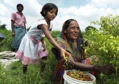 A major international NGO looks to improve its reporting arrangements to the Board