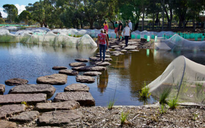 Yalukit Willam Gateway Building