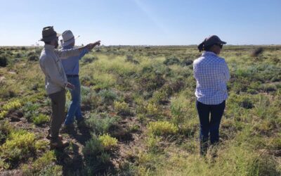 Soils for Life – Governance Review