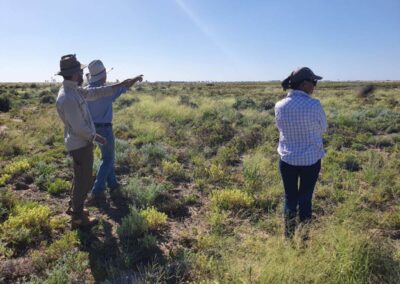 Soils for Life – Governance Review